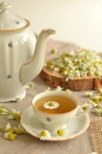 Free Tea Herbs photo and picture